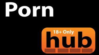 国产PORN视频,揭秘中国网络影视产业的隐秘角落